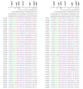 1897 G CCC A GGG A TT CC T C G C A TT A C GG T C G