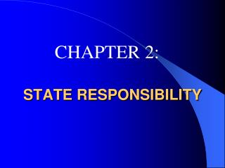 STATE RESPONSIBILITY
