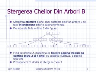 Stergerea Cheilor Din Arbori B