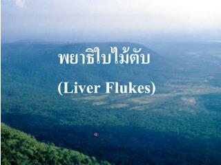 พยาธิใบไม้ตับ (Liver Flukes)