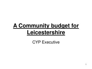 A Community budget for Leicestershire