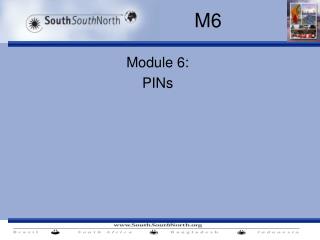 Module 6: PINs