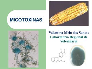 MICOTOXINAS