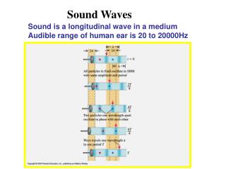 Sound Waves