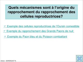 Quels mécanismes sont à l’origine du rapprochement du rapprochement des cellules reproductrices?