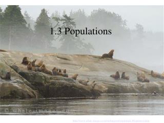 1.3 Populations