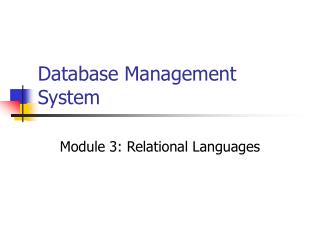 Database Management System