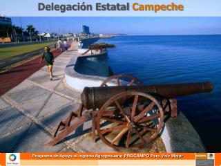 Delegación Estatal Campeche