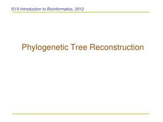 Phylogenetic Tree Reconstruction