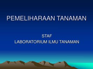 PEMELIHARAAN TANAMAN