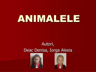 ANIMALELE
