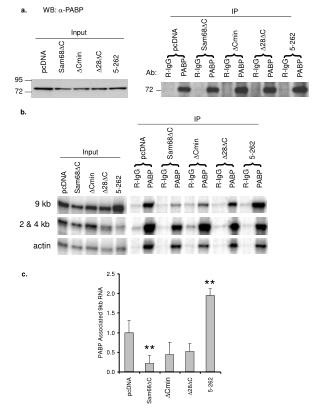 pcDNA