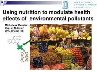 Using nutrition to modulate health effects of environmental pollutants