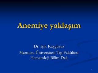 Anemiye yaklaşım