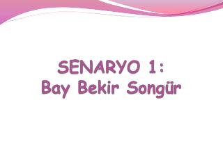 SENARYO 1: Bay Bekir Songür