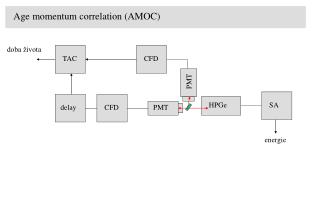 Age momentum correlation (AMOC)