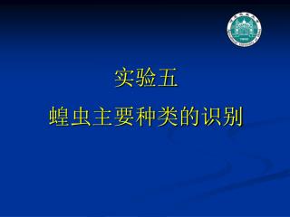 实验五 蝗虫主要种类的识别