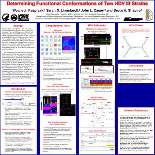 Determining Functional Conformations of Two HDV III Strains