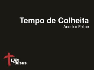 Tempo de Colheita