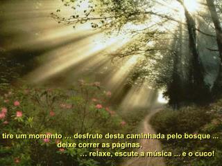 tire um momento … desfrute desta caminhada pelo bosque ...