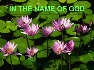 IN THE NAME OF GOD