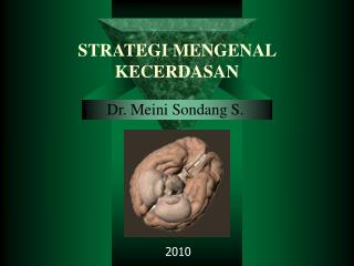 STRATEGI MENGENAL KECERDASAN