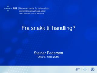 Fra snakk til handling? Steinar Pedersen Otta 9. mars 2005