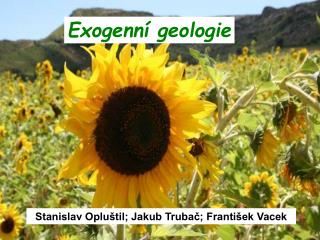 Exogenní geologie