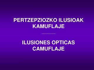 PERTZEPZIOZKO ILUSIOAK KAMUFLAJE ……………….. ILUSIONES OPTICAS CAMUFLAJE