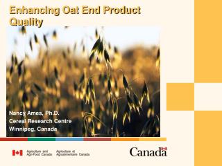 Enhancing Oat End Product Quality
