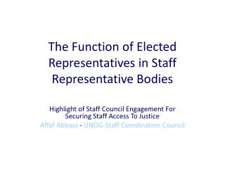 The Function of Elected Representatives in Staff Representative Bodies