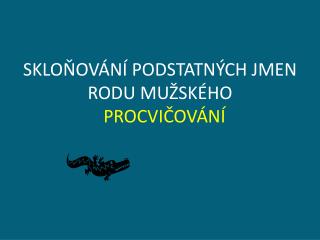 SKLOŇOVÁNÍ PODSTATNÝCH JMEN RODU MUŽSKÉHO PROCVIČOVÁNÍ