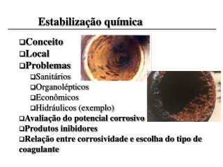 Conceito Local Problemas Sanitários Organolépticos Econômicos Hidráulicos (exemplo)
