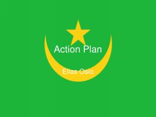 Action Plan