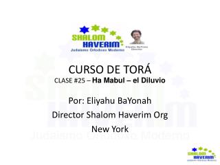 CURSO DE TORÁ CLASE #25 – Ha Mabul – el Diluvio