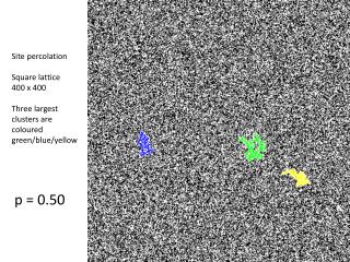 Site percolation Square lattice 400 x 400 Three largest clusters are coloured green/blue/yellow