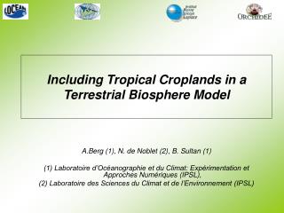 Including Tropical Croplands in a Terrestrial Biosphere Model
