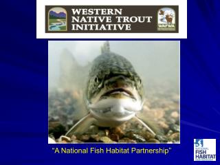 “A National Fish Habitat Partnership”