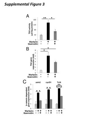 Warfarin : - + + Quercetin : - - +