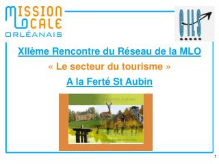 XIIème Rencontre du Réseau de la MLO « Le secteur du tourisme » A la Ferté St Aubin