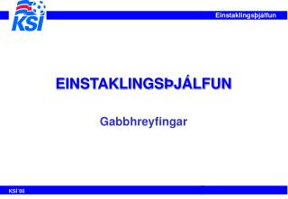 EINSTAKLINGSÞJÁLFUN