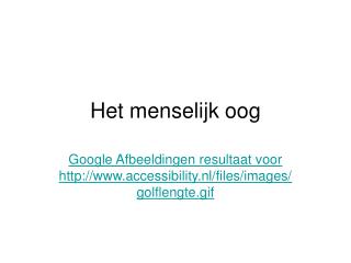 Het menselijk oog