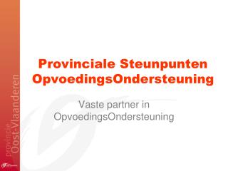Provinciale Steunpunten OpvoedingsOndersteuning
