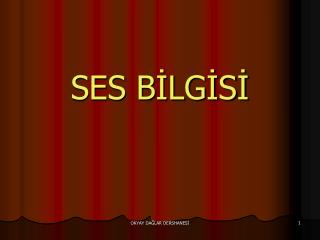 SES BİLGİSİ