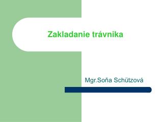 Zakladanie trávnika