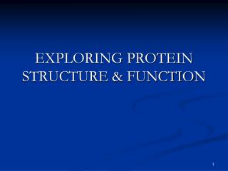 EXPLORING PROTEIN STRUCTURE &amp; FUNCTION