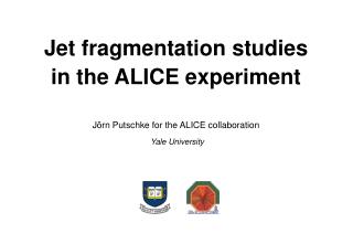 Jet fragmentation studies in the ALICE experiment