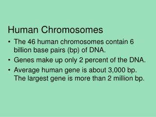 Human Chromosomes