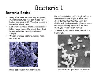 Bacteria 1