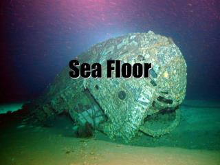 Sea Floor